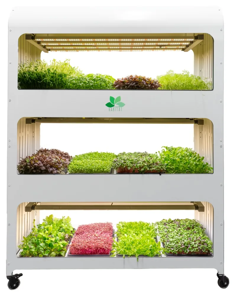 Weiße vertikale Anbaueinheit auf Rollen mit drei Ebenen voller Microgreens und Blattgemüse unter Pflanzenleuchten